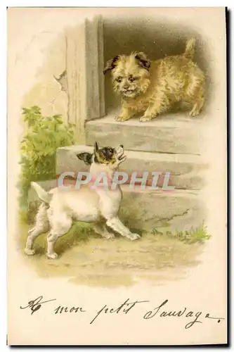 Cartes postales Chien Chiens Chiot