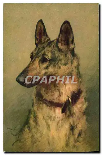 Cartes postales Chien Chiens Chiot