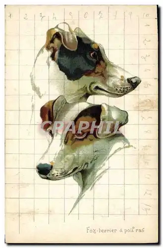 Cartes postales Chien Chiens Chiot