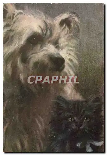 Cartes postales Chien Chiens Chiot Chat Chaton