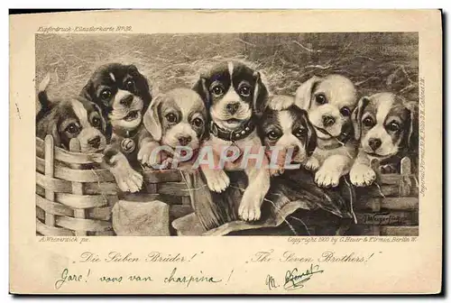 Cartes postales Chien Chiens Chiot The seven brothers