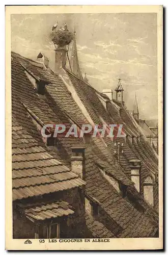 Cartes postales Folklore Alsace Les cigognes en Alsace