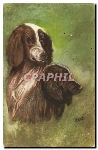 Cartes postales Chien Chiot Chiens