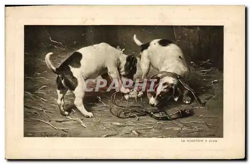 Cartes postales Chien Chiot Chiens La museliere a Papa