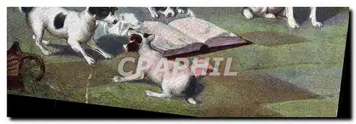 Cartes postales Chien Chiot Chiens