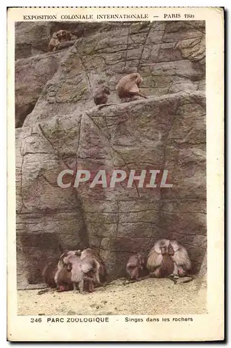Cartes postales Singe Paris Exposition coloniale internationale 1931 Parc zoologique Singes dans les rochers