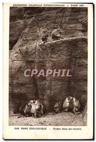 Ansichtskarte AK Singe Paris Exposition coloniale internationale 1931 Parc zoologique Singes dans les rochers