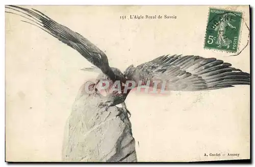 Cartes postales L&#39aigle Royal de Savoie Rapace