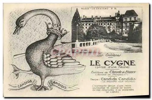 Cartes postales Le cygne Blois le chateau