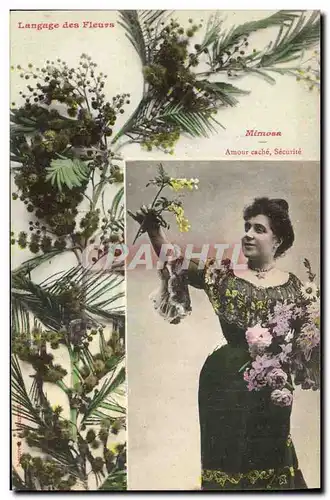 Cartes postales Fantaisie Femme Langage des fleurs Mimosa Amour cache Securite