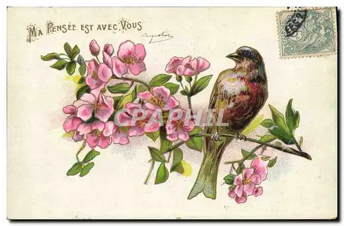 Cartes postales Oiseau Fleurs