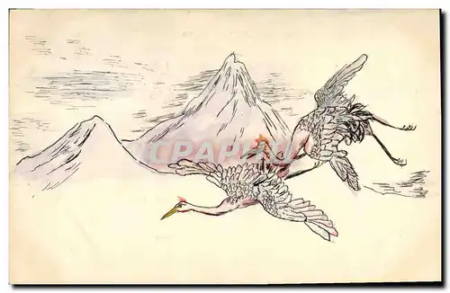 Cartes postales Oiseaux