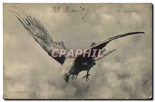 Cartes postales Roi des Alpes Rapace