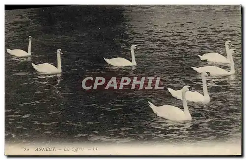 Cartes postales Annecy Les cygnes