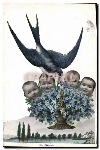 Cartes postales Hirondelle Enfants