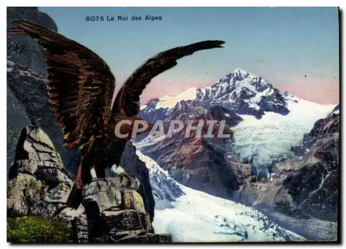 Ansichtskarte AK Le roi des Alpes Rapace