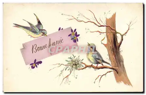 Cartes postales Oiseaux