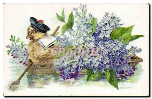 Cartes postales Poussin Fleurs Marin La Bayard