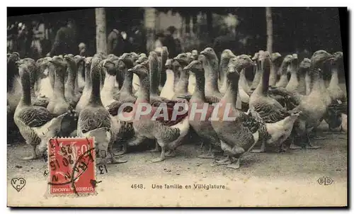 Ansichtskarte AK Oies Une famille en villegiature