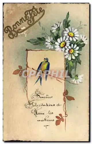 Cartes postales Oiseau (dessin a la main)
