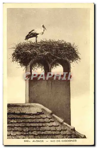 Cartes postales Oiseaux Alsace Nid de cigognes