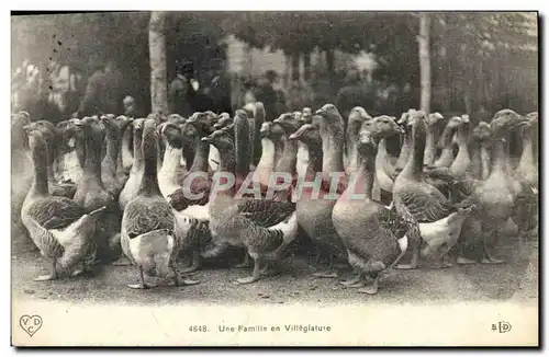Cartes postales Oiseaux Une famille en villegiature Oies