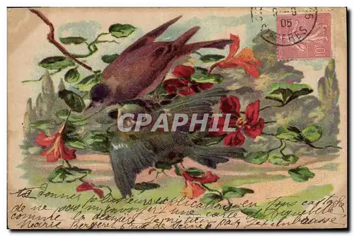 Cartes postales Oiseaux