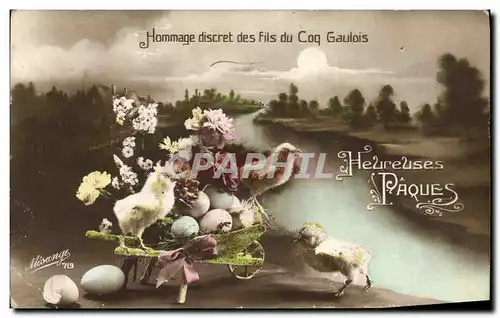 Cartes postales Oiseaux Poussins Paques