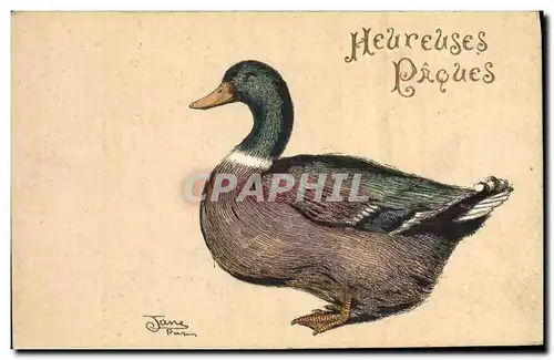 Cartes postales Oiseaux Canard Paques