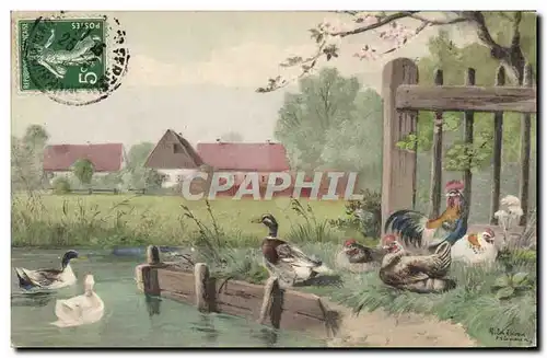 Cartes postales Oiseaux Coq Poules Canard