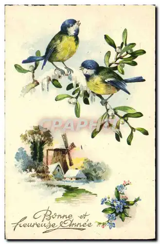 Cartes postales Oiseaux