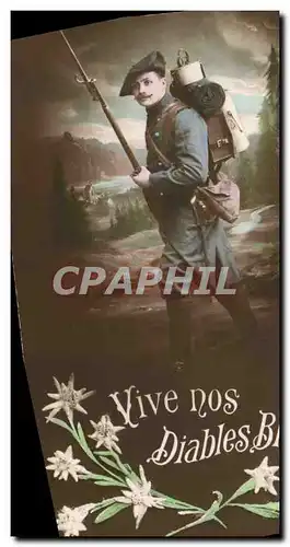 Cartes postales Militaria Chasseurs alpins Vive nos diables bleus