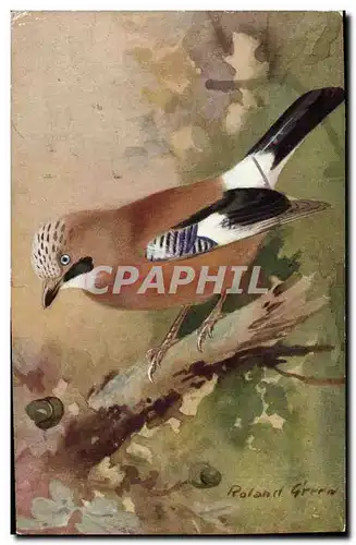 Cartes postales Oiseau