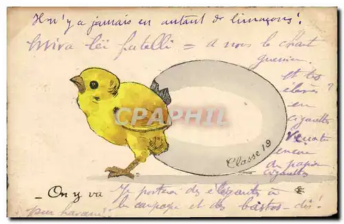 Cartes postales Poussin Oeuf