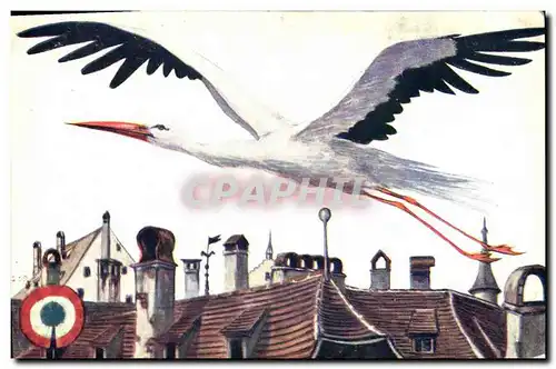 Cartes postales Folklore Alsace Igor Cigogne d&#39Alsace