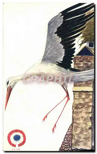 Cartes postales Folklore Alsace Igor Cigogne d'Alsace