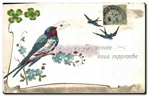 Cartes postales Oiseau Trefle Hirondelle