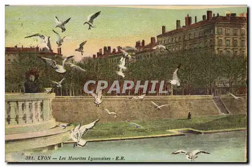 Cartes postales Lyon Les Mouettes lyonnaises