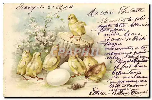 Cartes postales Poussins Escargot