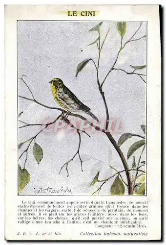 Cartes postales Le Cini