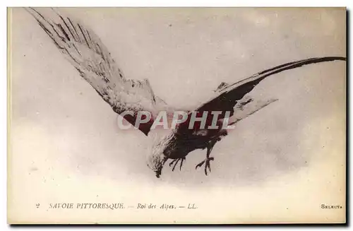 Cartes postales Savoie Roi des Alpes Aigle Rapace