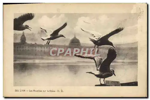 Cartes postales Lyon Les mouettes sur le Rhone