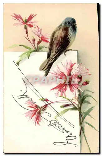 Cartes postales Oiseau Fleurs