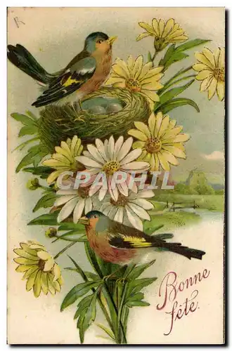 Cartes postales Oiseaux