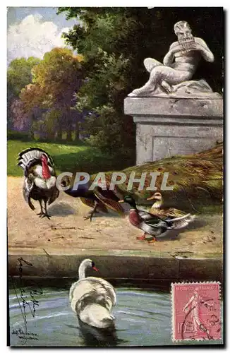 Cartes postales Canards Cygne Paon Dindon