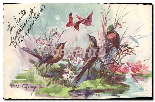 Cartes postales Oiseaux