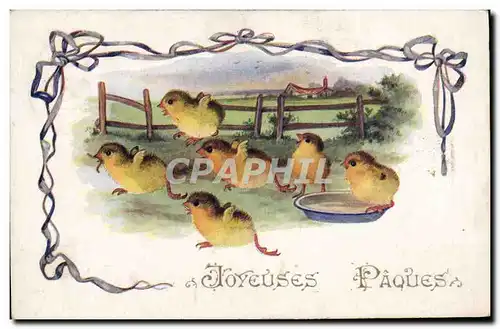 Cartes postales Poussins Paques