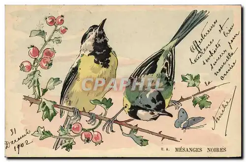 Cartes postales Oiseaux Mesanges noires