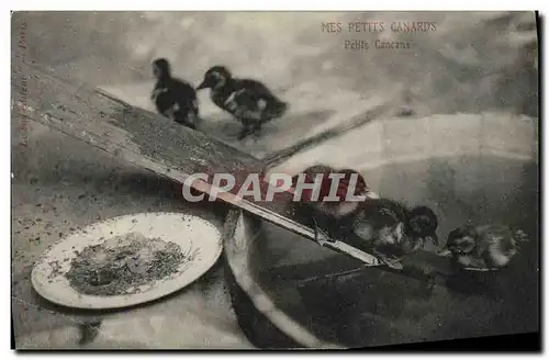 Cartes postales Mes petits canards Petits cancans