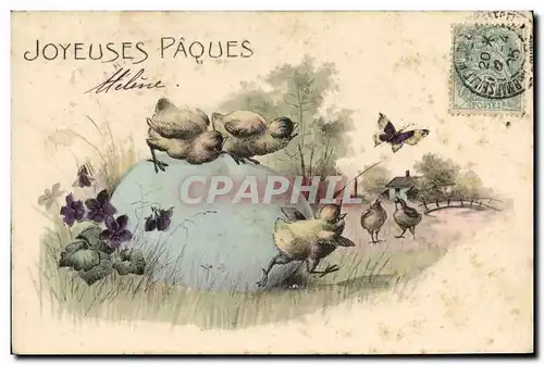 Cartes postales Poussins Paques